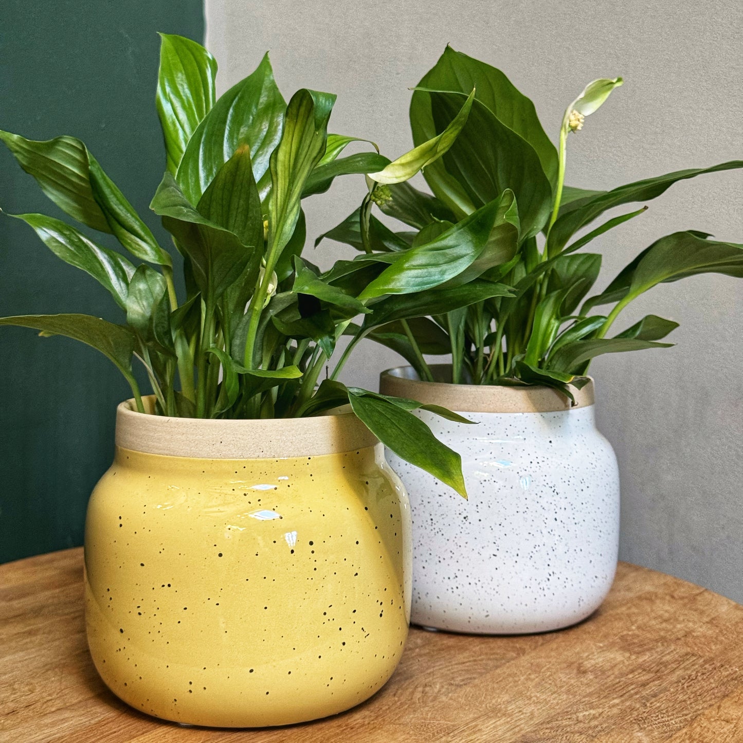Mid Pastel Deco Pots-White/Yellow