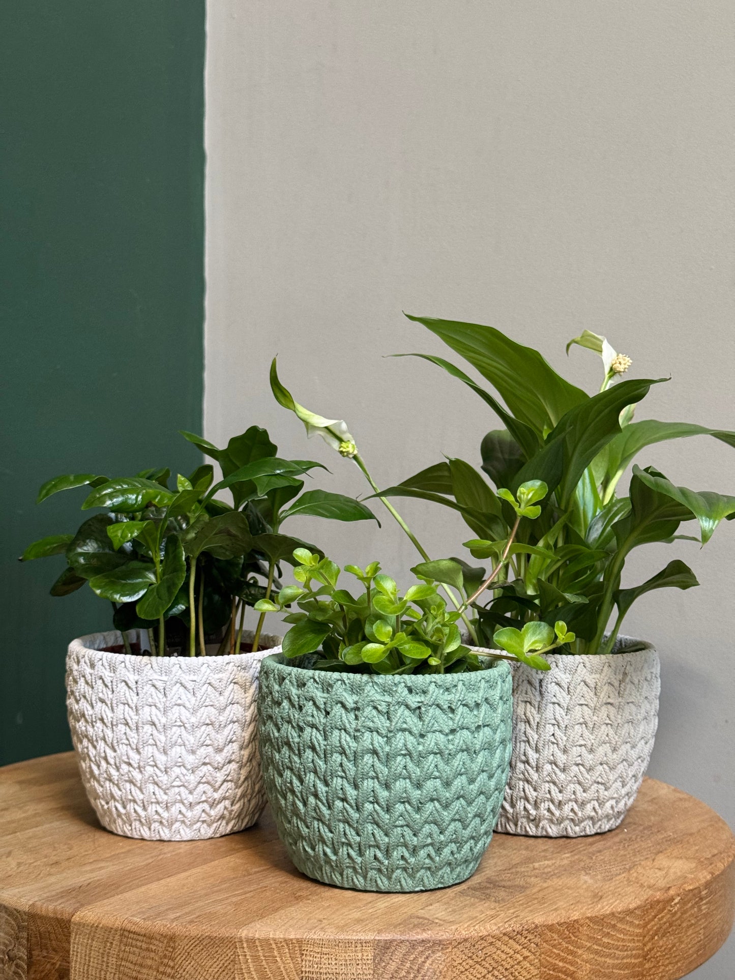 Brio pots-Grey/White/Green