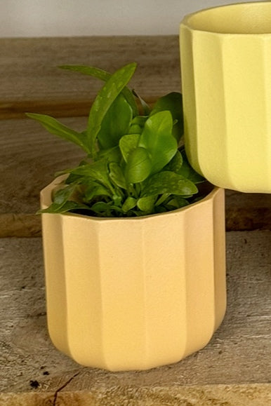 Geo Mini Planters- Lilac/Lemon/Apricot