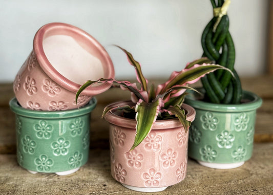 Mini Bloom Pots- Pink/Green