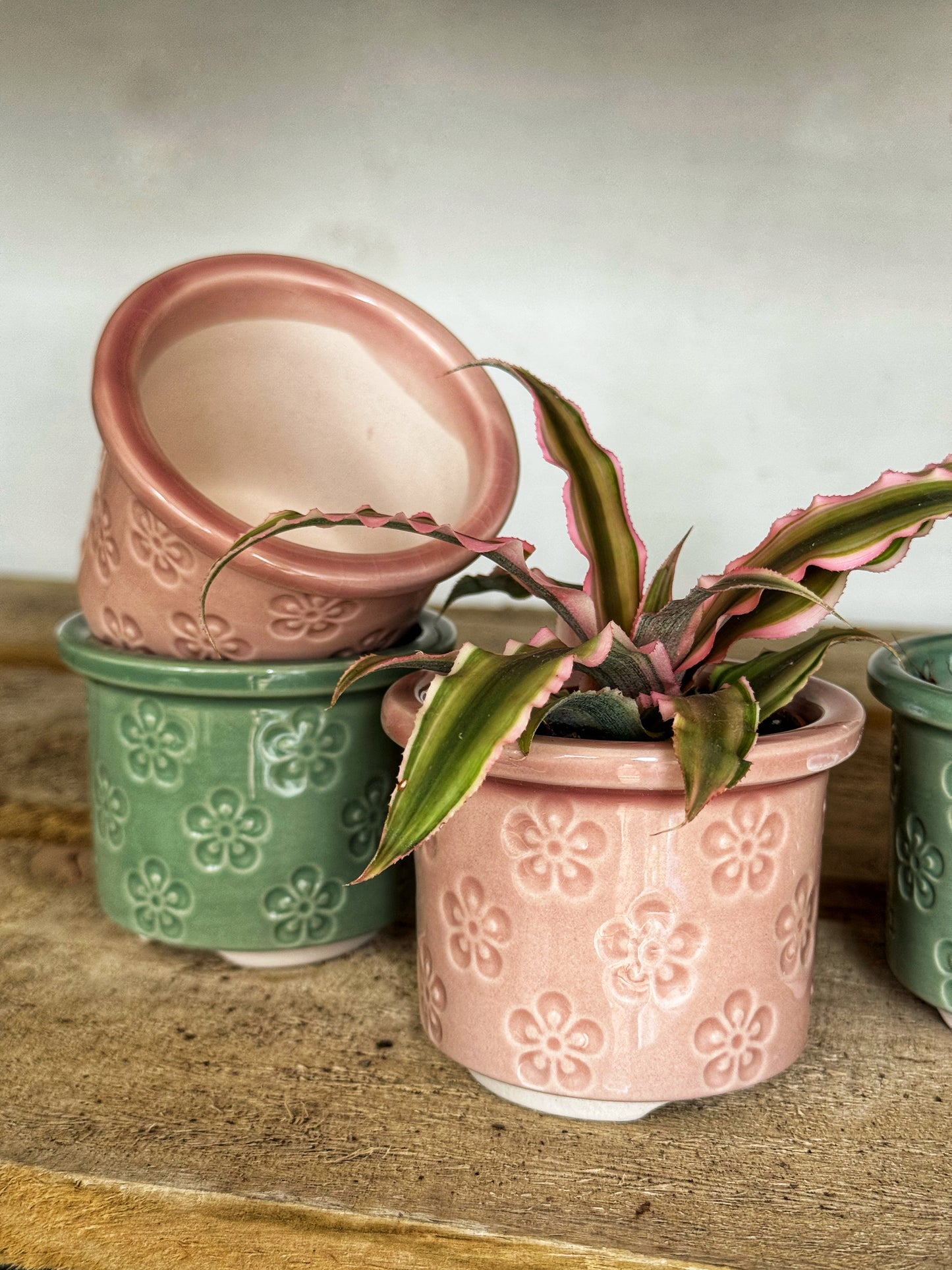 Mini Bloom Pots- Pink/Green