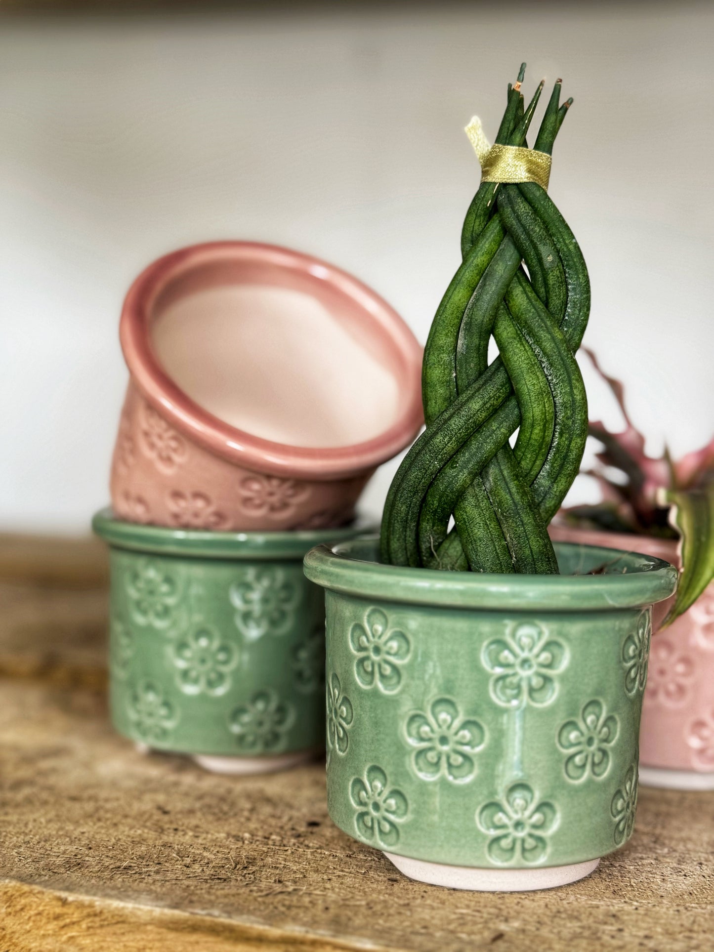 Mini Bloom Pots- Pink/Green
