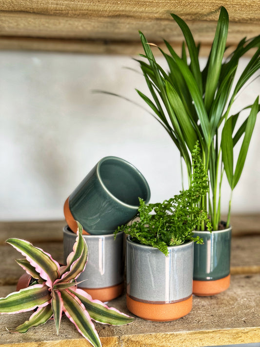 Mini Terra Base Pots- Grey/Green