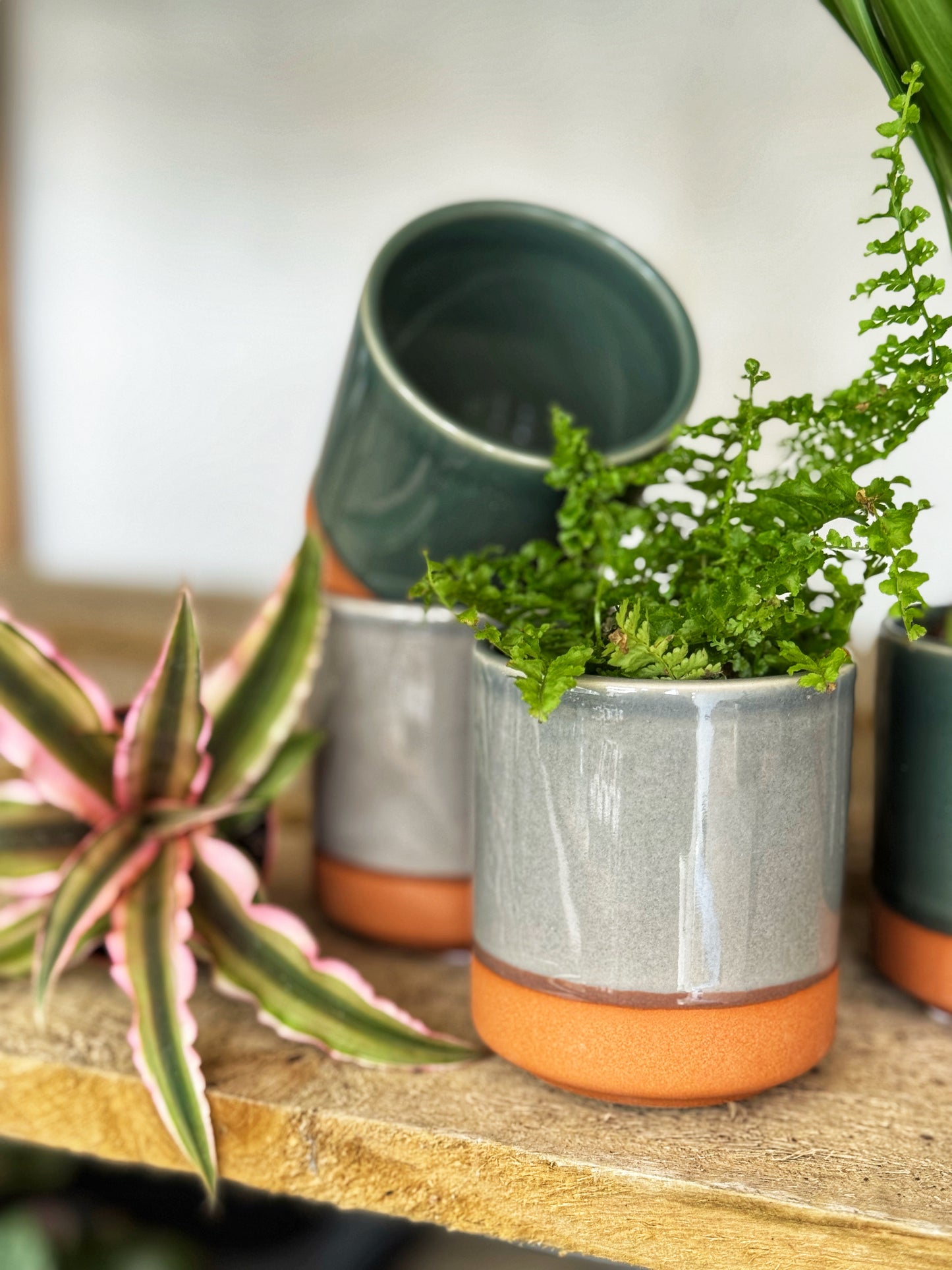 Mini Terra Base Pots- Grey/Green
