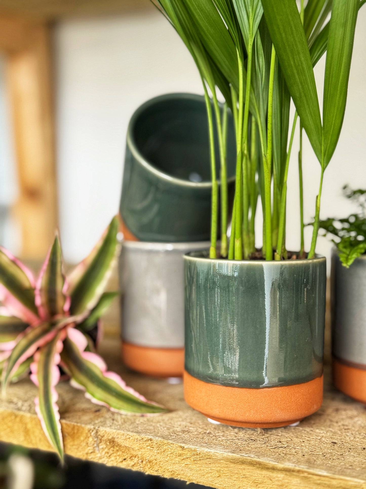 Mini Terra Base Pots- Grey/Green