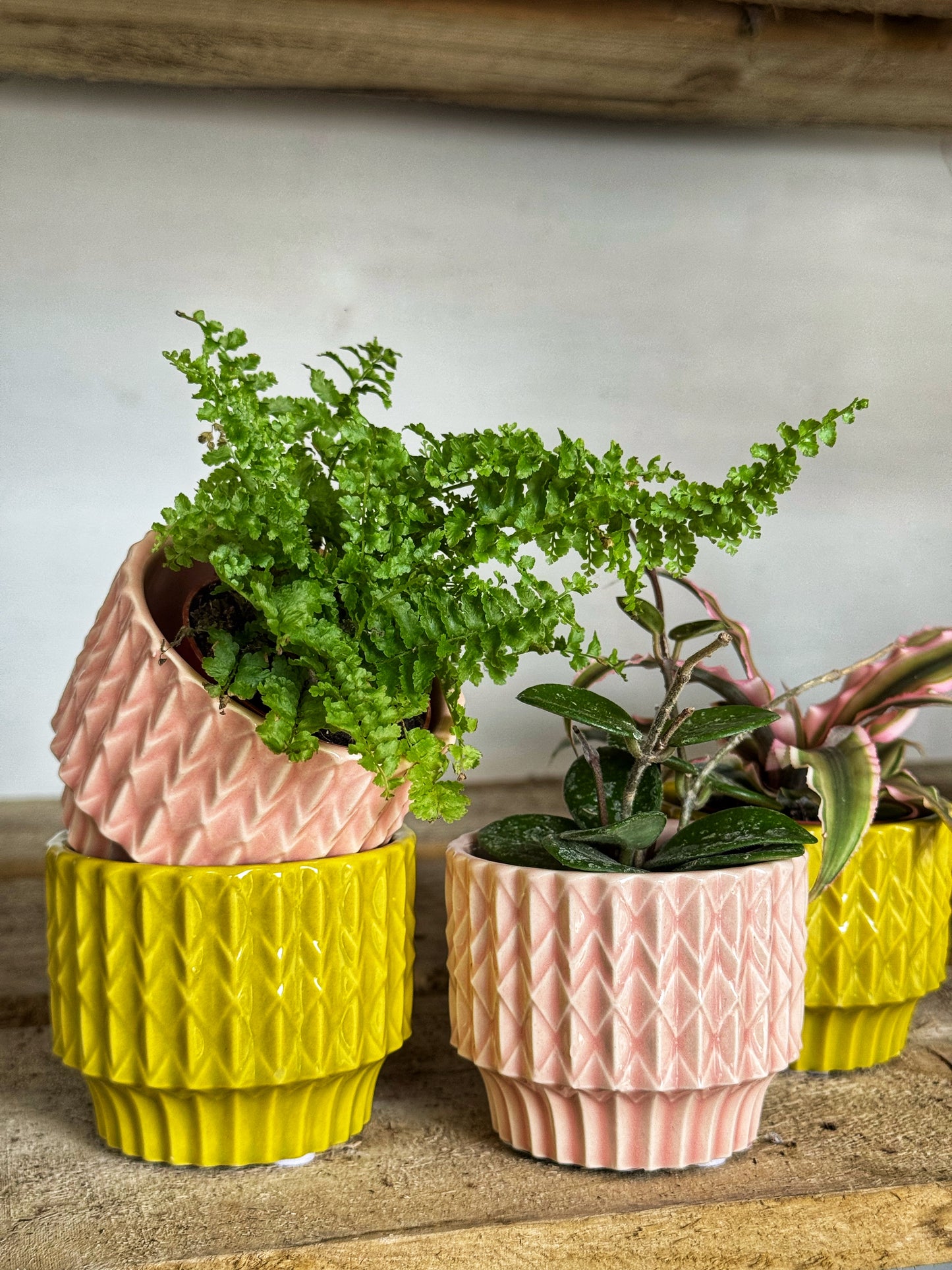 Neon Mini- Yellow/Pink