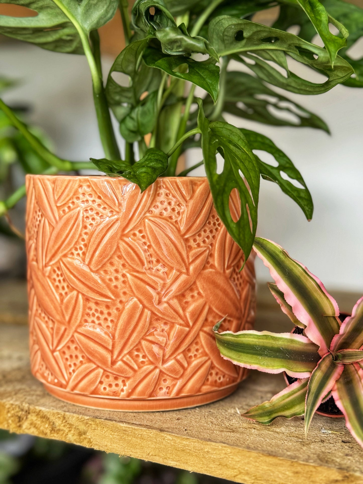 Lush Leaf Pot