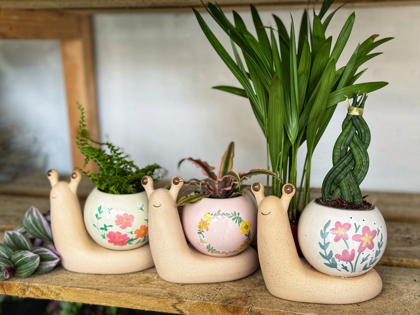 Mini Snail Pots