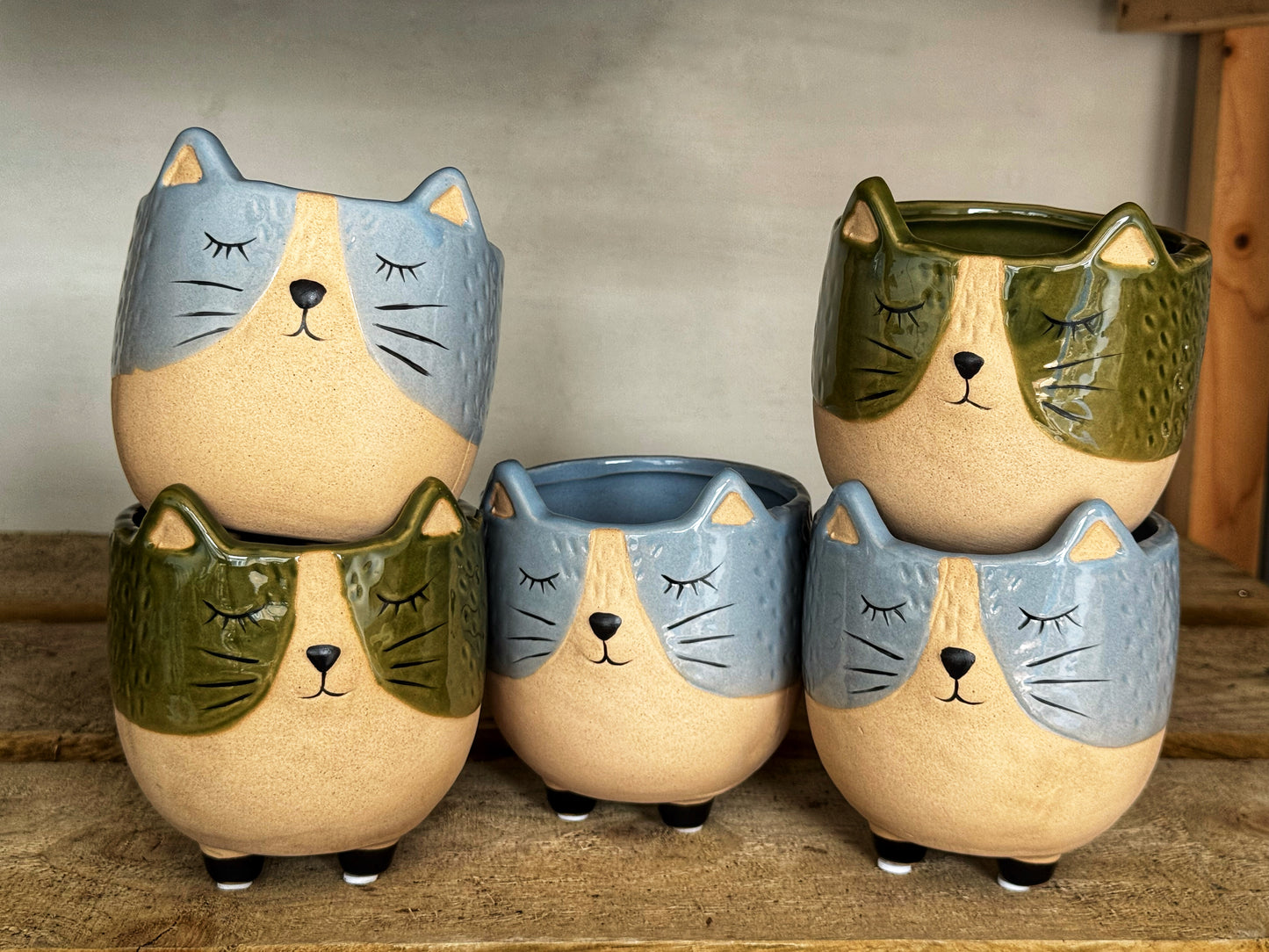 Sassy Cat Pots- Green/Blue