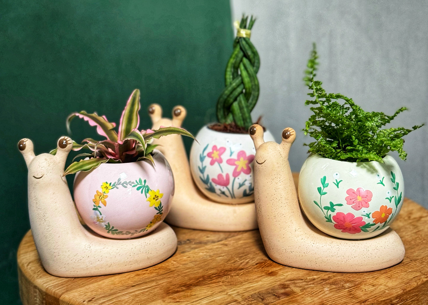 Mini Snail Pots