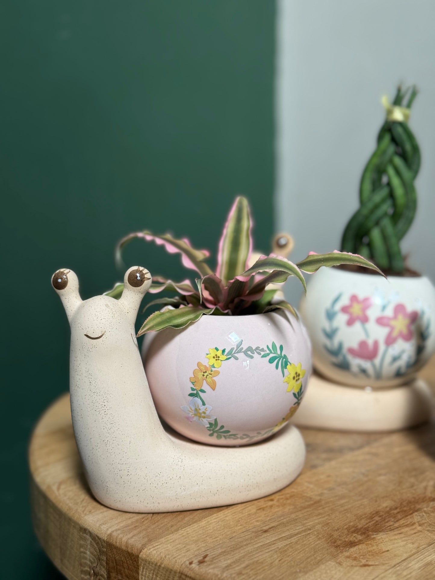 Mini Snail Pots