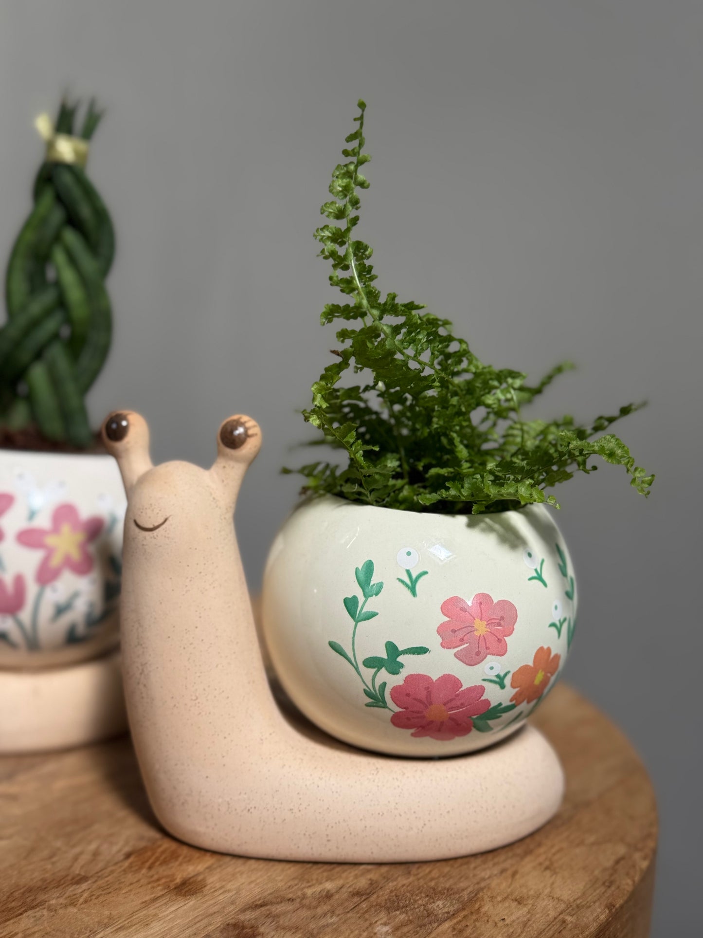 Mini Snail Pots