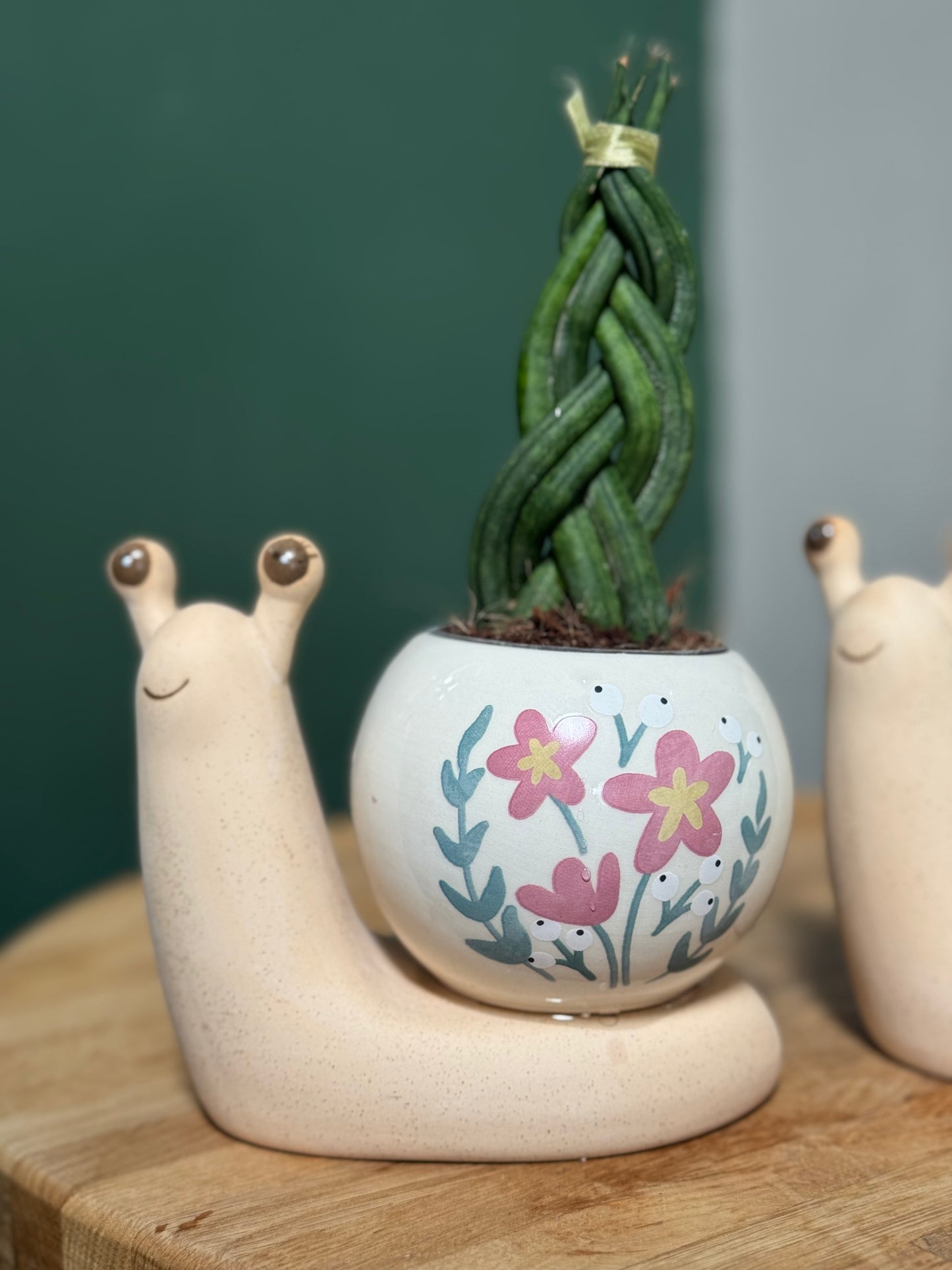 Mini Snail Pots