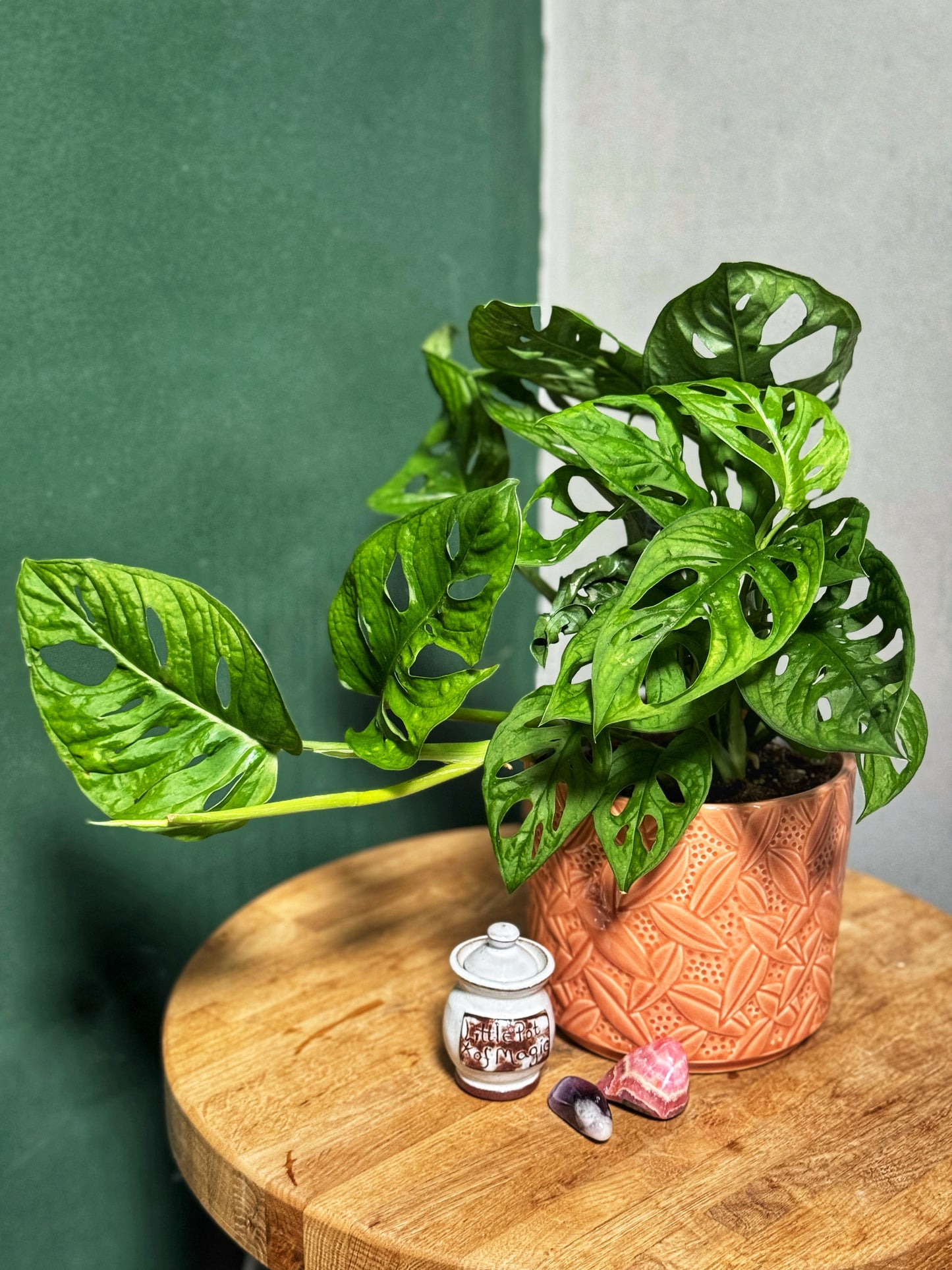 Lush Leaf Pot