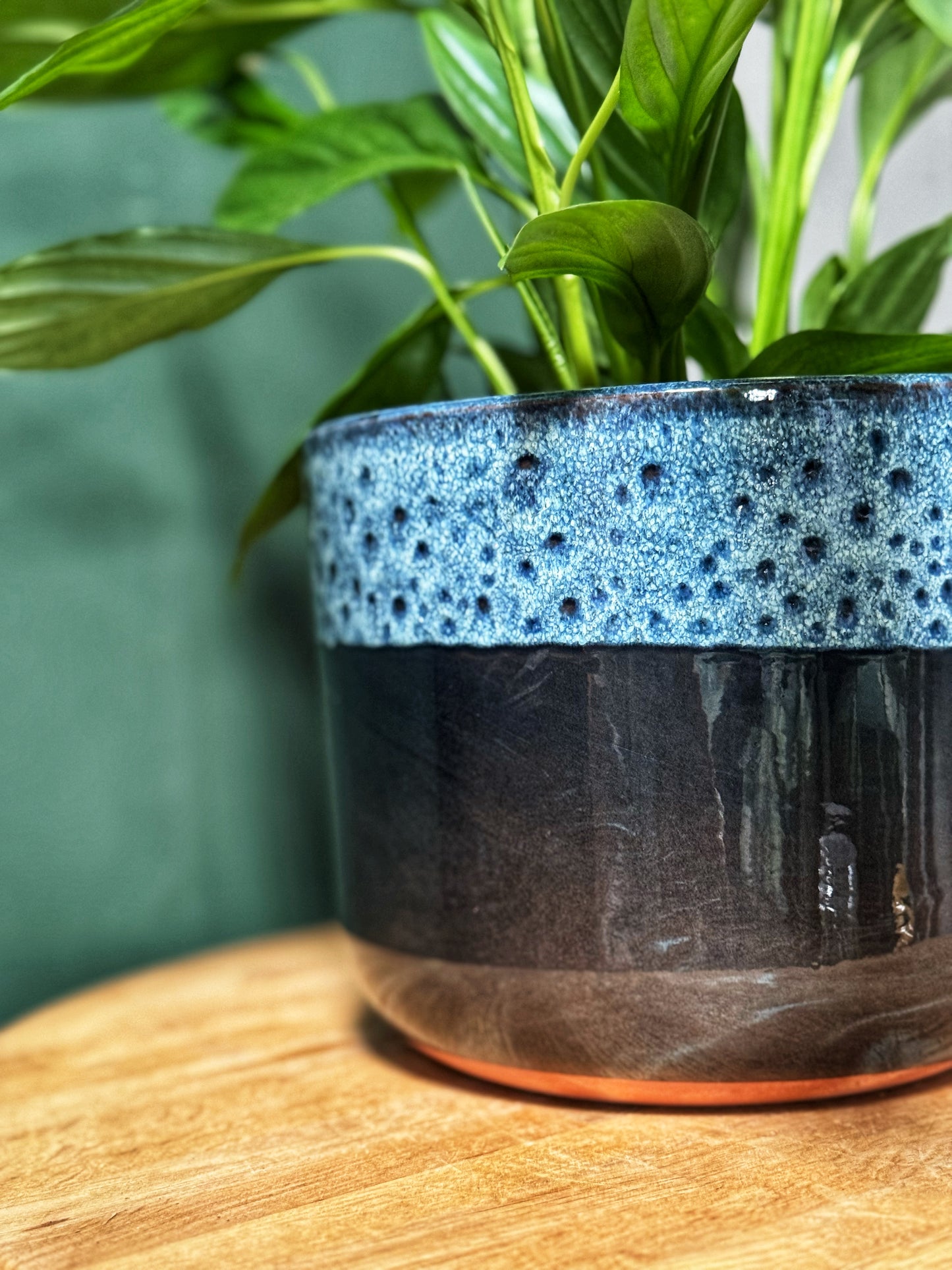 Blue Mottled top- Terracotta glazed Pot