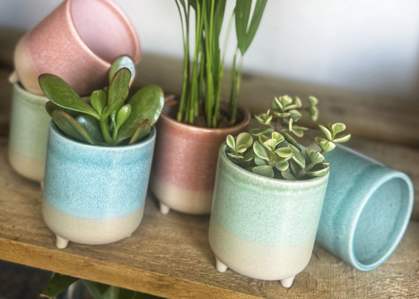 Jolie Matte Reactive Pot's- Aqua or Rose