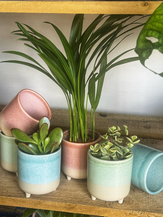 Jolie Matte Reactive Pot's- Aqua or Rose