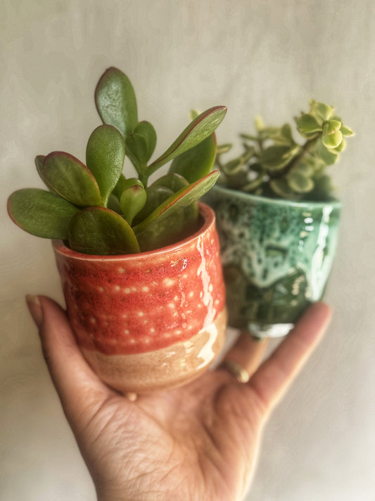 Reactive glaze Mini Planters- Emerald/Salmon