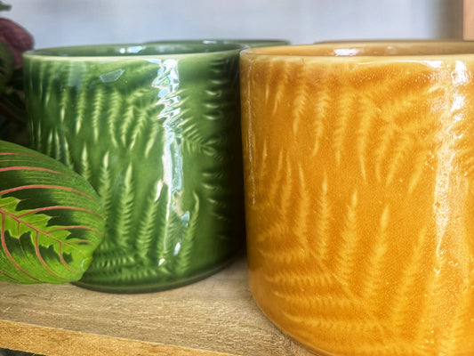 Orla Fern Pots. Mustard/Green