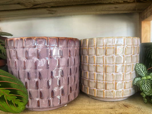 Tarah Checked Pots- Ivory-Rust or Purple-blush