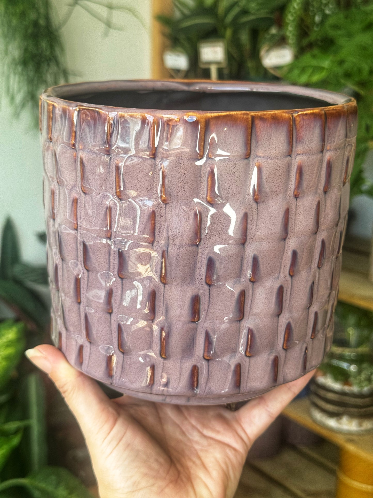 Tarah Checked Pots- Ivory-Rust or Purple-blush