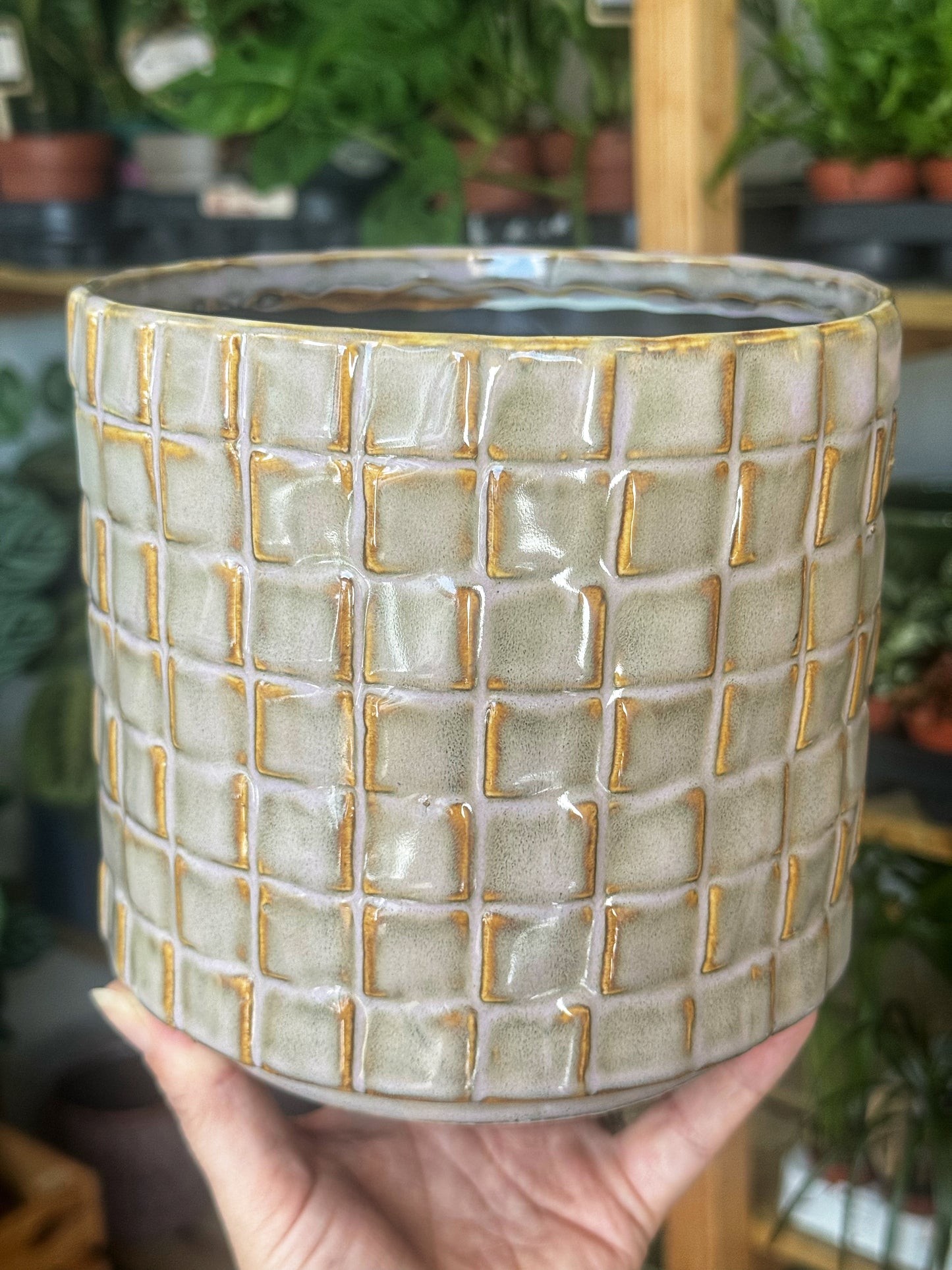 Tarah Checked Pots- Ivory-Rust or Purple-blush