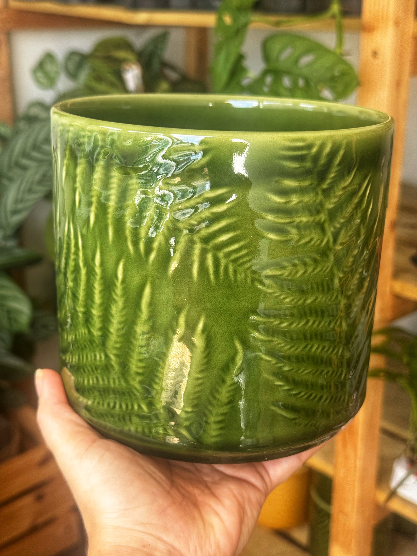 Orla Fern Pots. Mustard/Green