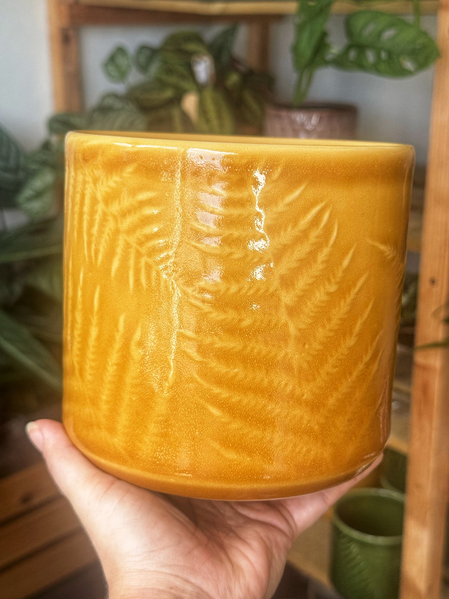 Orla Fern Pots. Mustard/Green