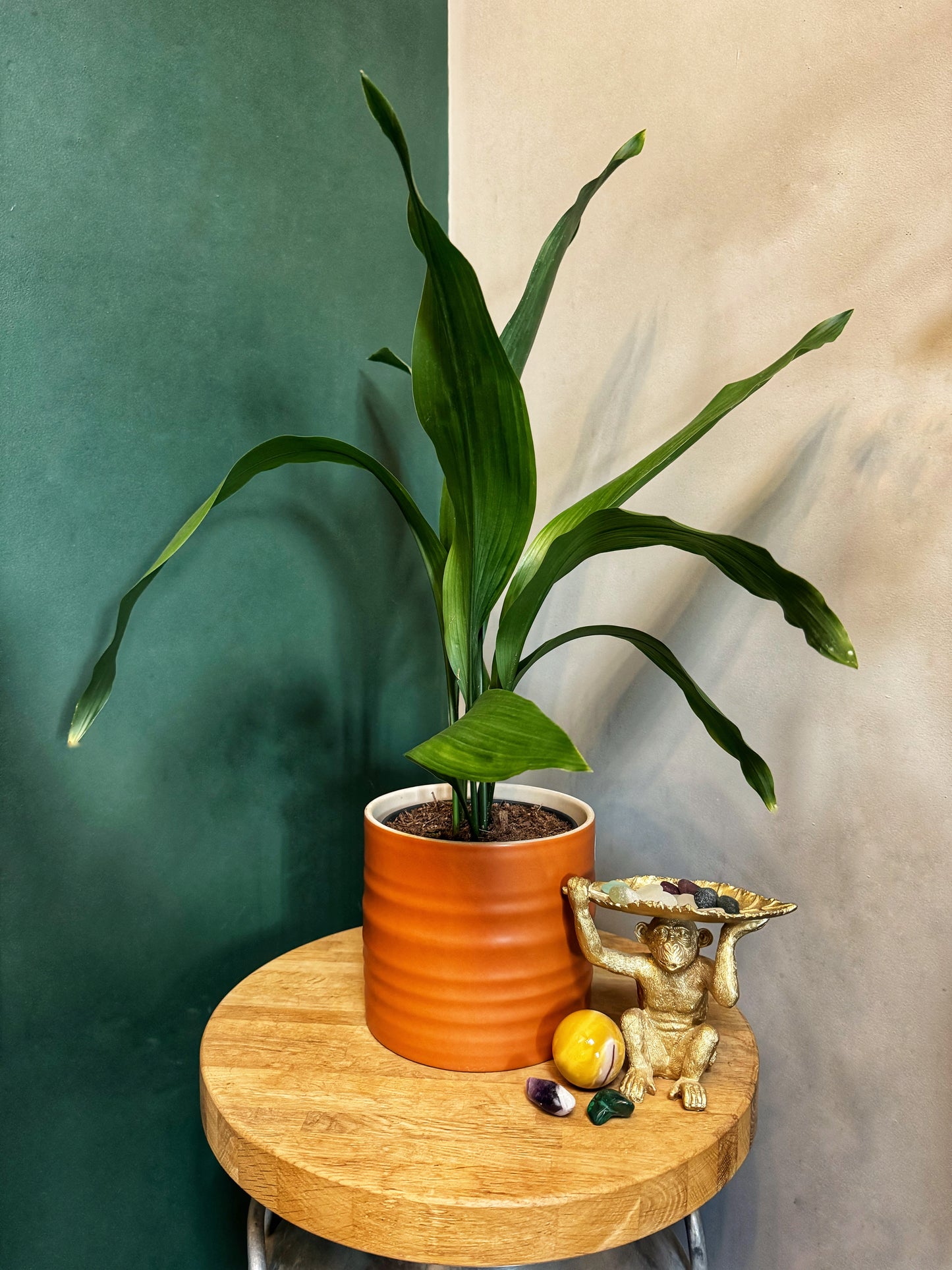Hadleigh- Charcoal/Amber