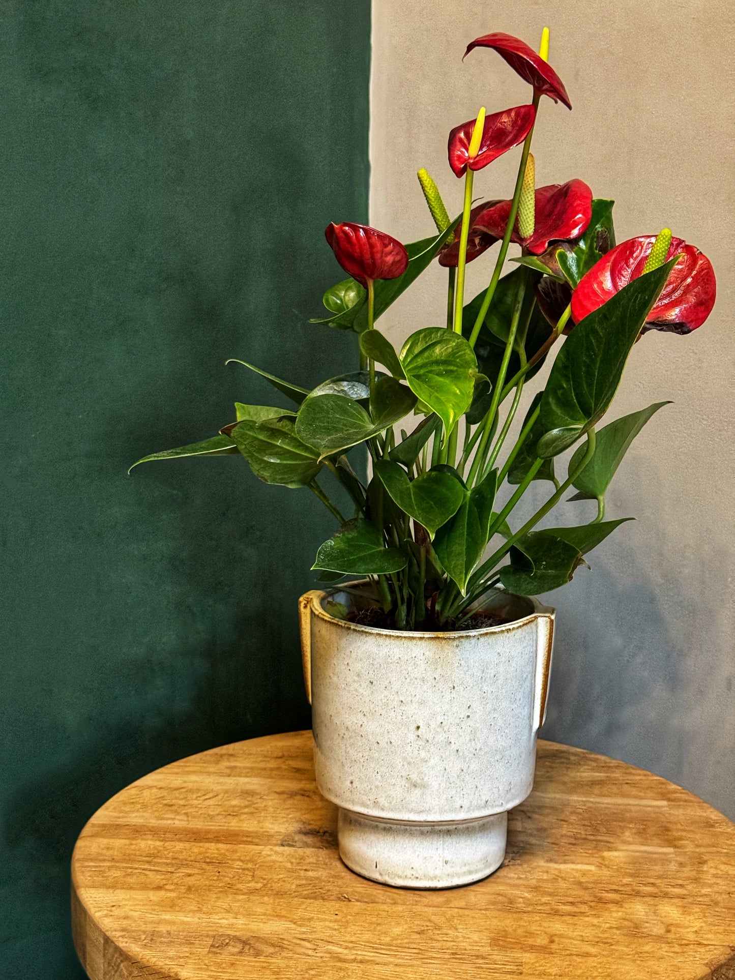 Aries Pot- White/Rust