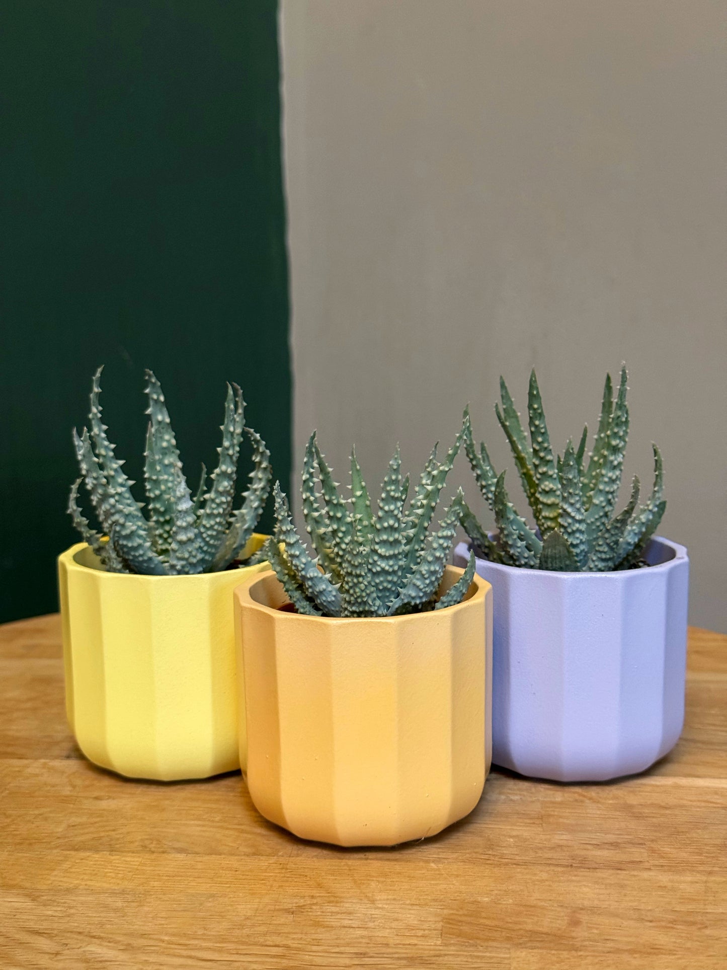 Geo Mini Planters- Lilac/Lemon/Apricot