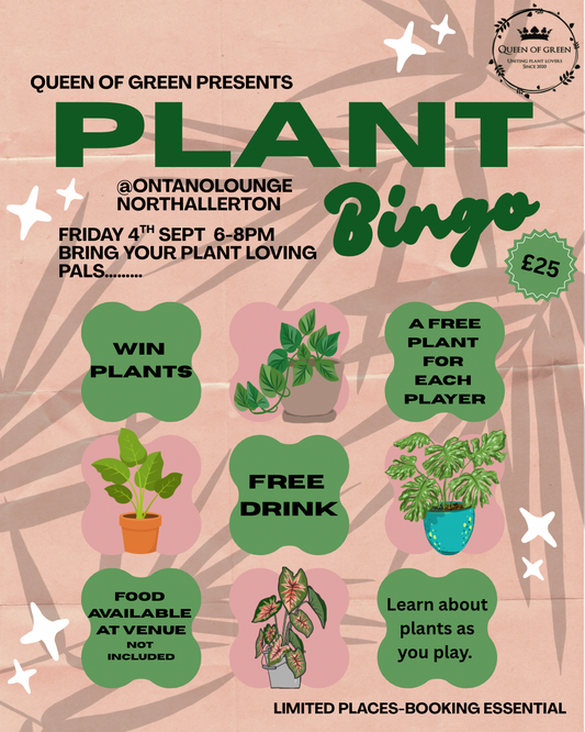 Plant Bingo Event @Ontano lounge Northallerton Fri 4th Sept 6-8pm £25pp