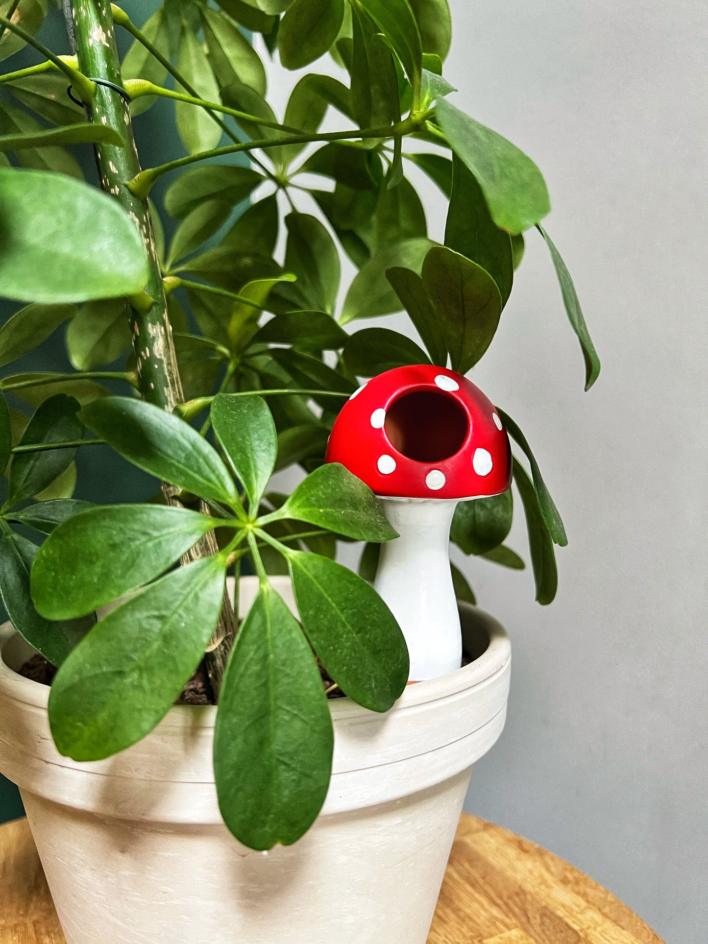Toadstool Watering Spike