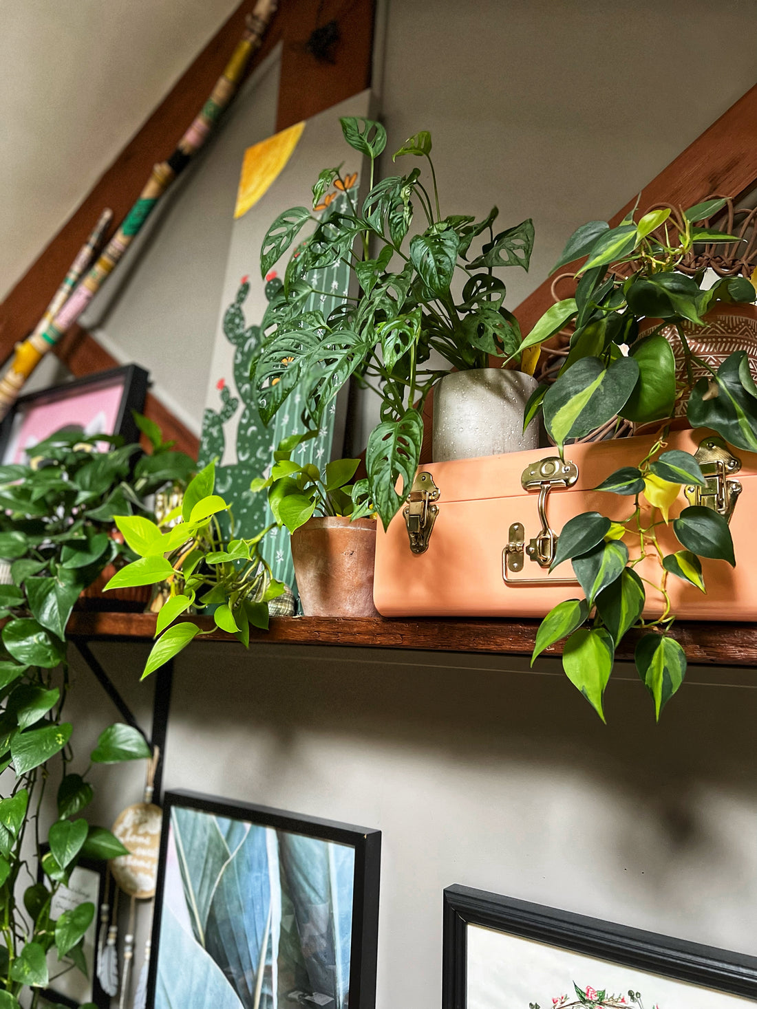 Why plants, Why now?