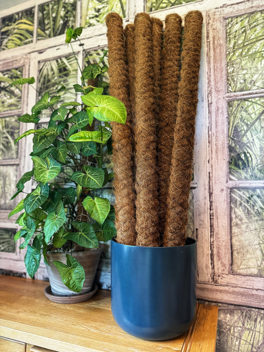 120cm-Moss Poles-LOCAL DROP/MARKET PURCHASE ONLY