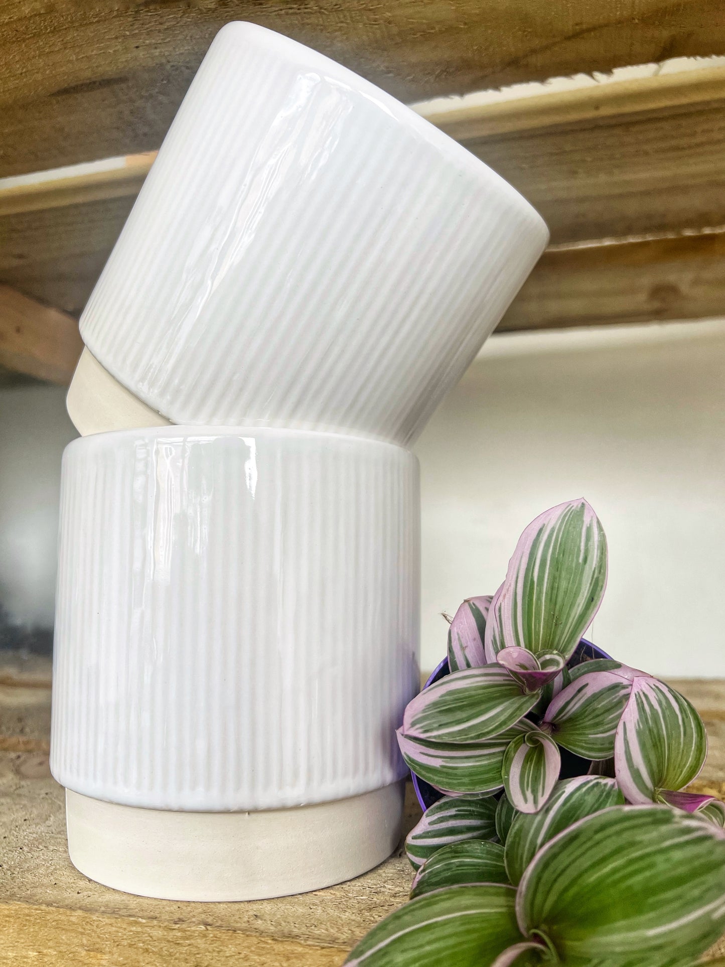 Athens Ribbed pot-Pink or White
