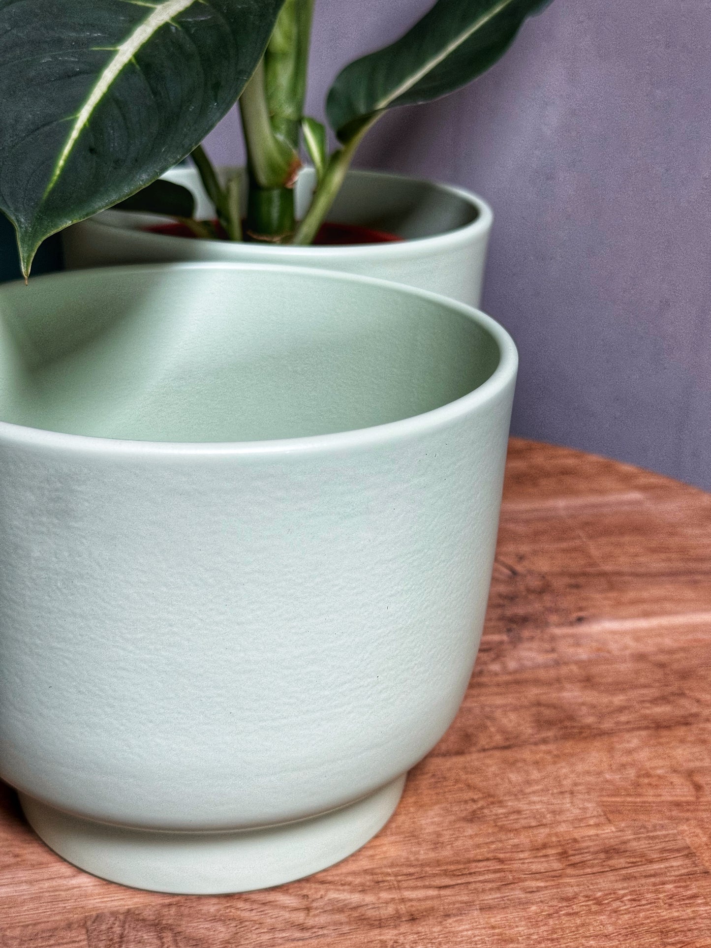 Molla Pistachio Green Planter