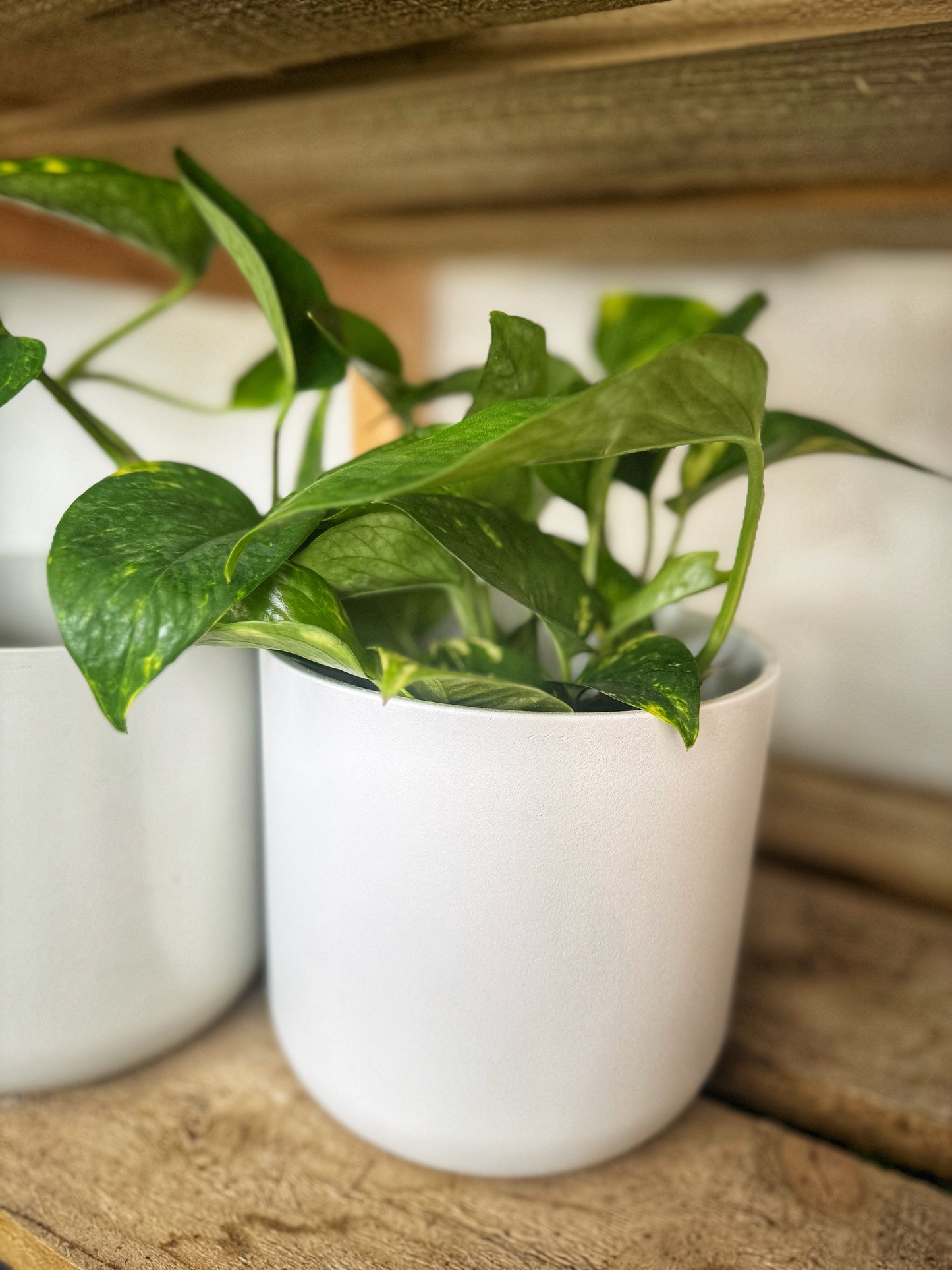 Lisbon Pot-D13.5cm-WHITE/GREY/ANTHRACITE/GREEN