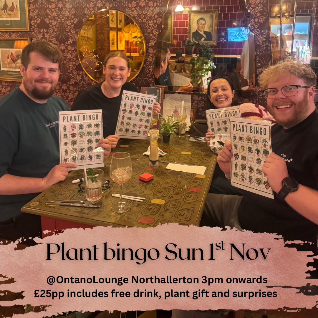 Plant bingo- Ontano Lounge Northallerton