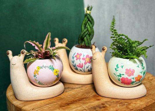 Mini Snail Pots