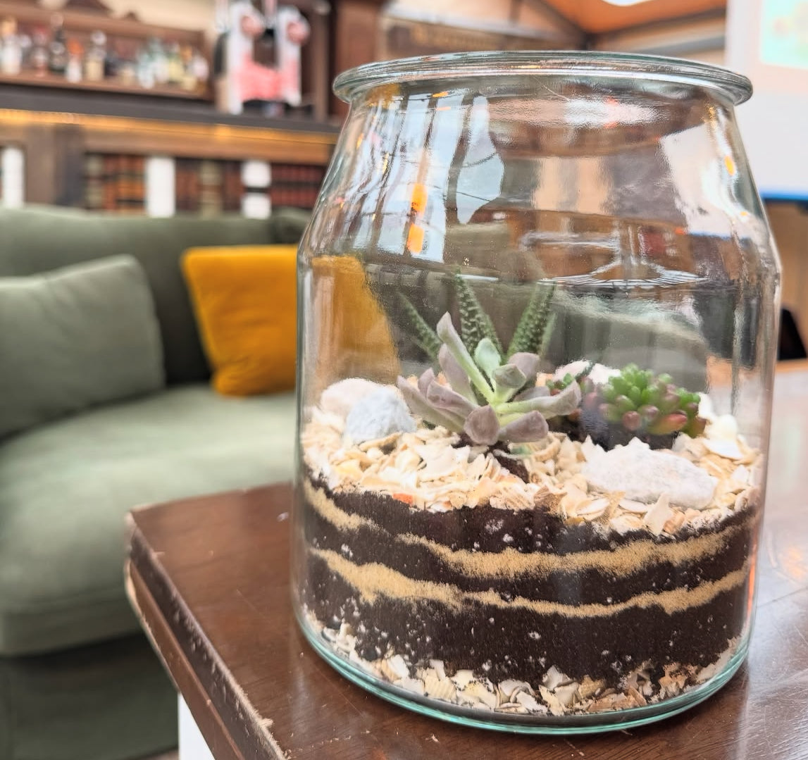 Succulent Terrarium Workshop - Sun 22nd Feb 2026-Gray's of Rothwell