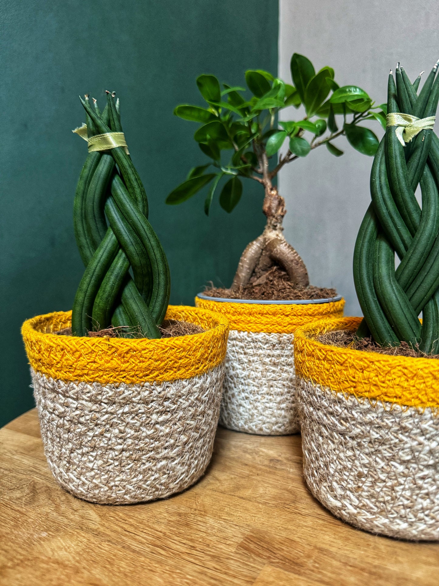 Yellow rimmed-fully lined basket