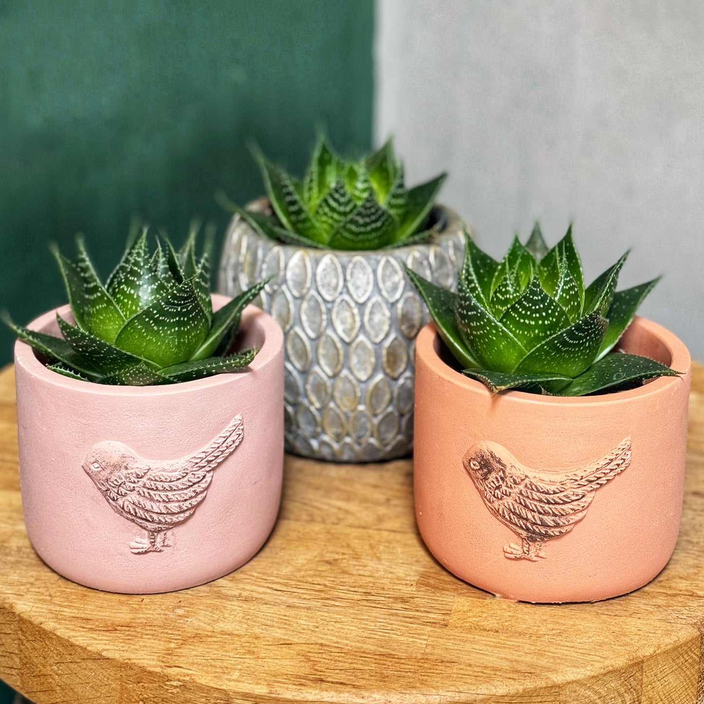 Bird pots-Salmon-Light Pink