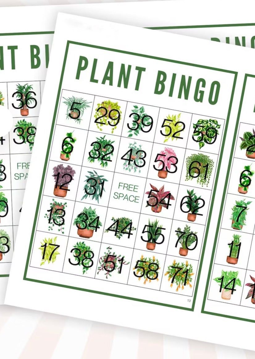 Plant Bingo Event @Ontano lounge Northallerton Fri 4th Sept 6-8pm £25pp
