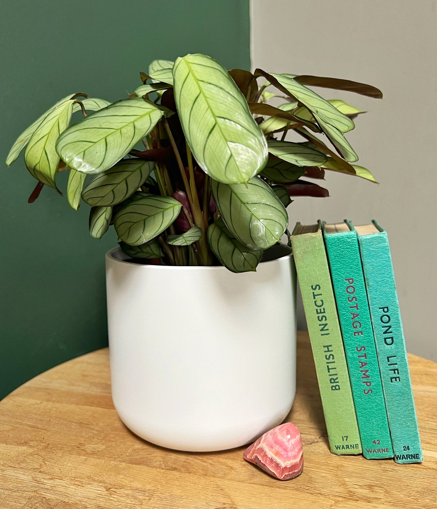Lisbon Pot-D13.5cm-WHITE/GREY/ANTHRACITE/GREEN